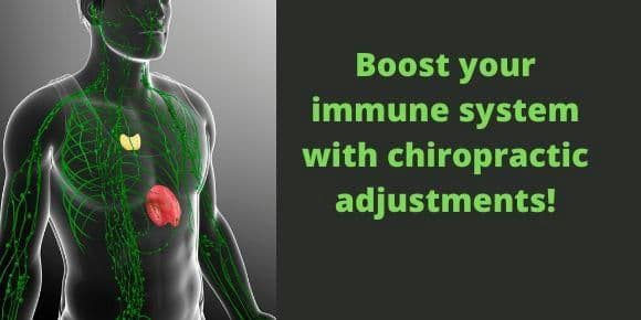 Chiropractic and wellness care — Nektalov Chiropractic & Wellness, Forest Hills Queens NY