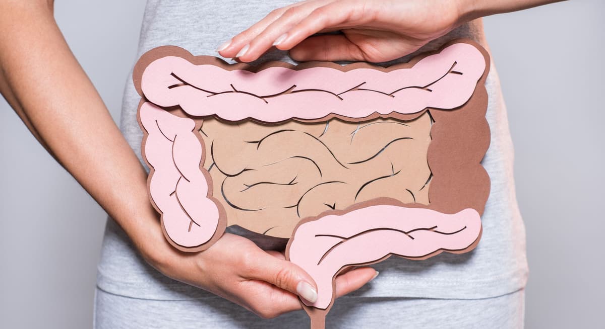 Gut microbiome and gut health — men's wellness and hormone balance, Nektalov Chiropractic & Wellness, Forest Hills Queens NY